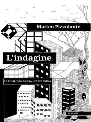 cover image of L'indagine
